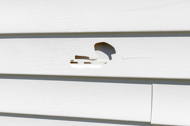 Best Custom Trim and Detailing for Siding  in Clifton, TX